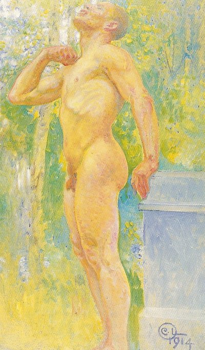 Schizzo da Carl Larsson